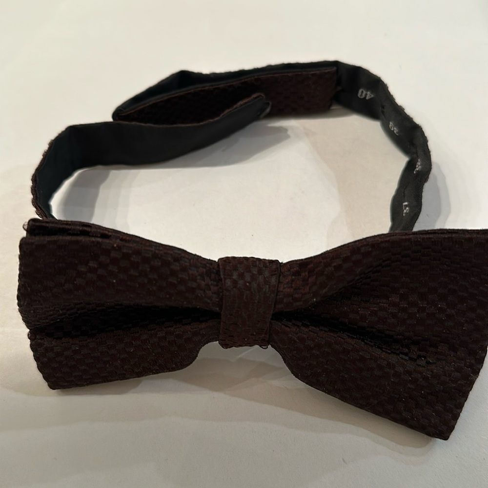 Gianfranco Ferre blown silk bow tie